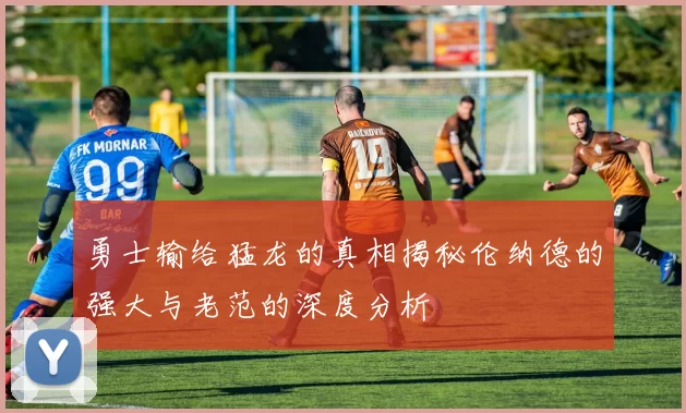 勇士输给猛龙的真相揭秘伦纳德的强大与老范的深度分析